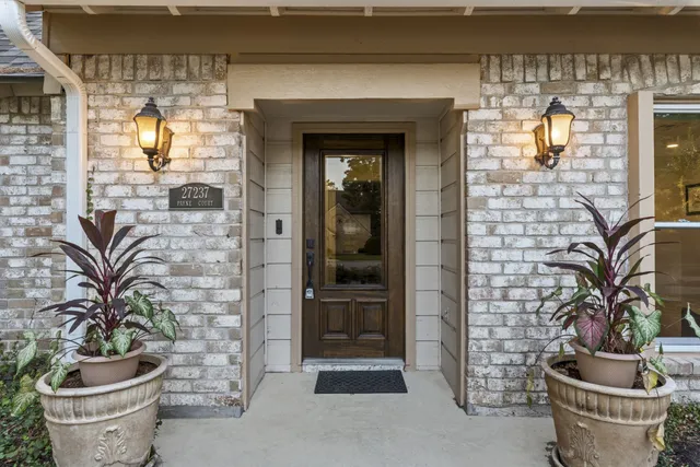 a potted plant in front of a door
