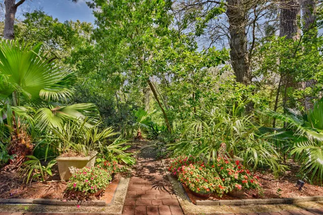 a view of a garden with plants