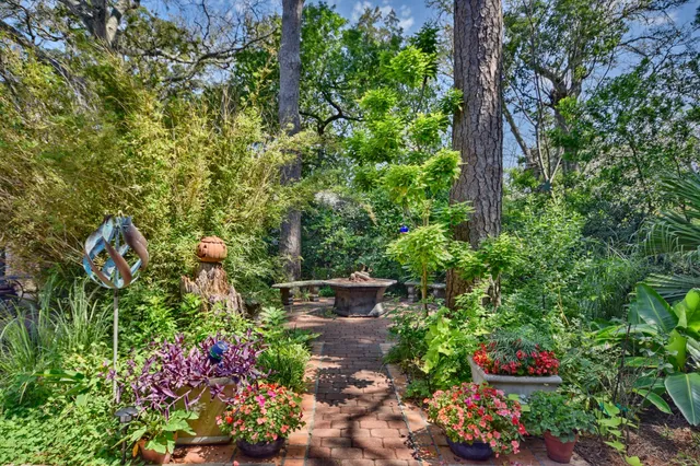 a picture of flowers