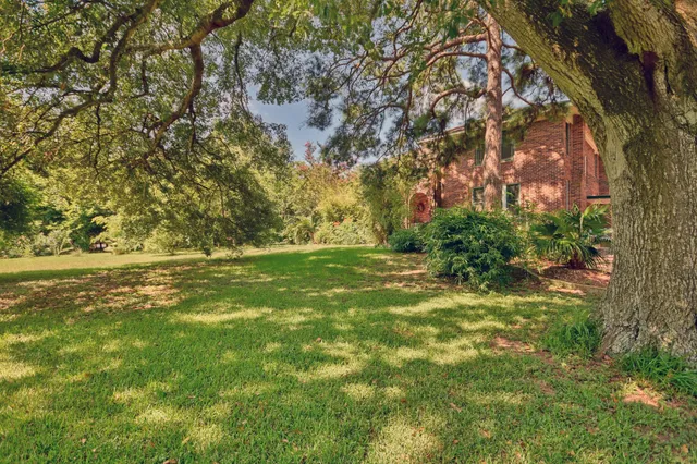 a view of yard with green space