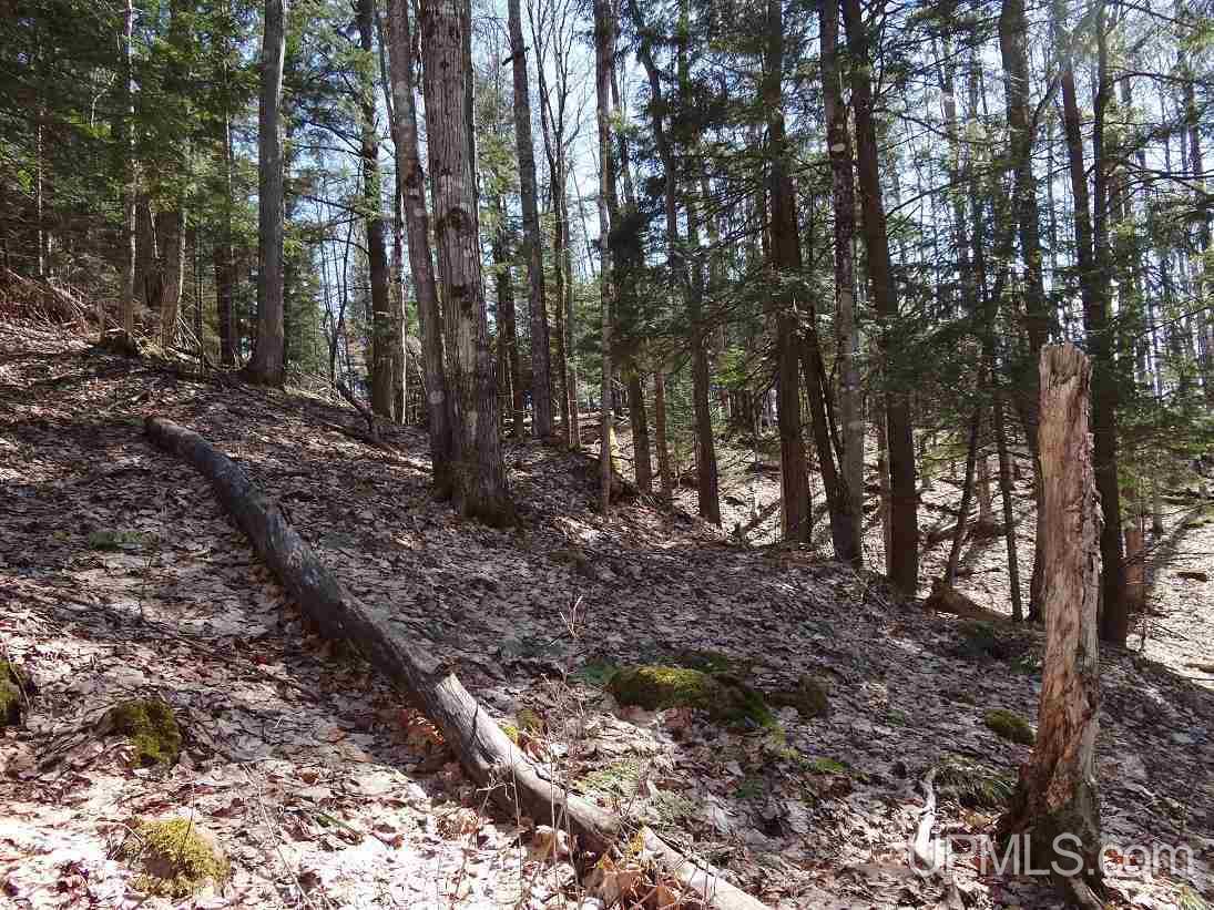 Tbd Wadaga Road Baraga, MI 49908 - Photo 10 of 17 Gallery Image 10