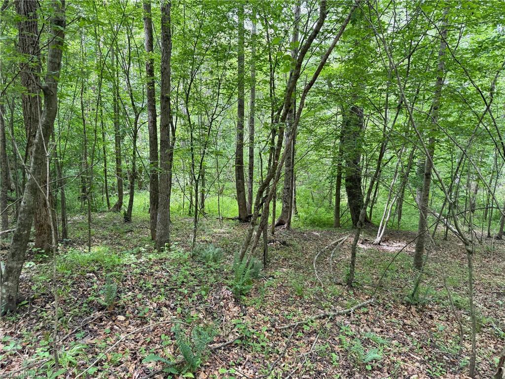1201 Purcell Road Reidsville, NC 27320 - Photo 3 of 31 Gallery Image 3