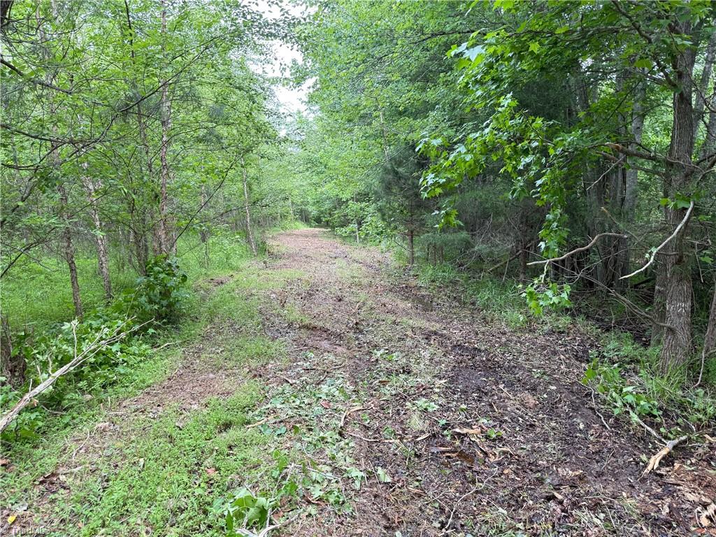 1201 Purcell Road Reidsville, NC 27320 - Photo 6 of 31 Gallery Image 6
