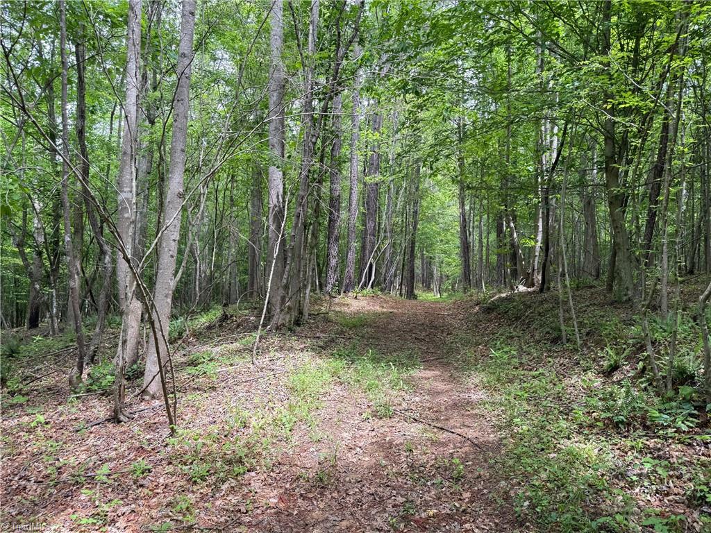 1201 Purcell Road Reidsville, NC 27320 - Photo 9 of 31 Gallery Image 9