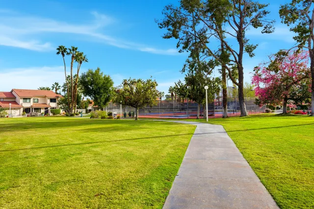 a view of a swimming pool with a lawn chairs under palm trees