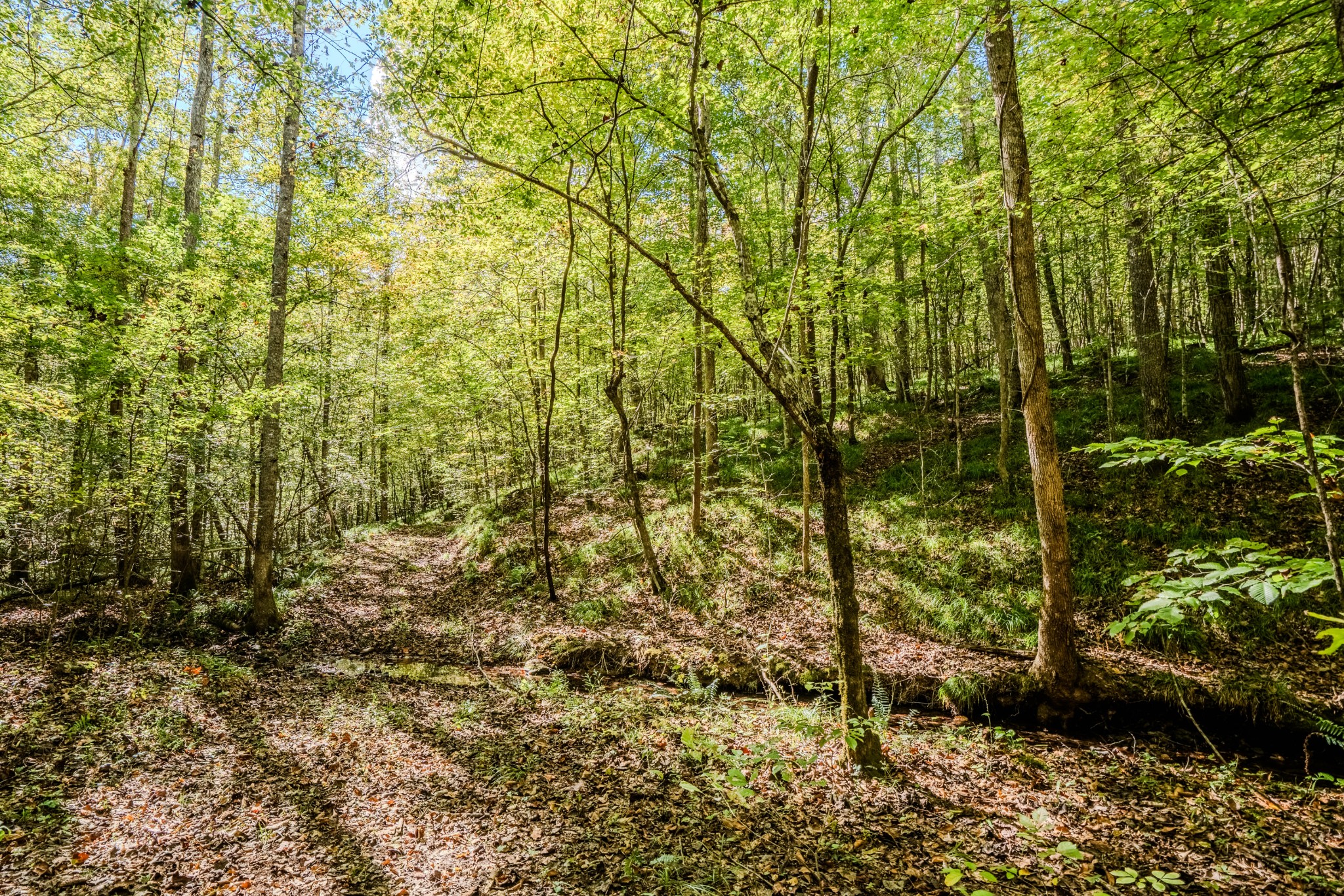 0 South Randall Road Westpoint, TN 38486 - Photo 57 of 79