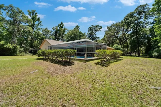 a view of a forest with trees in the background
