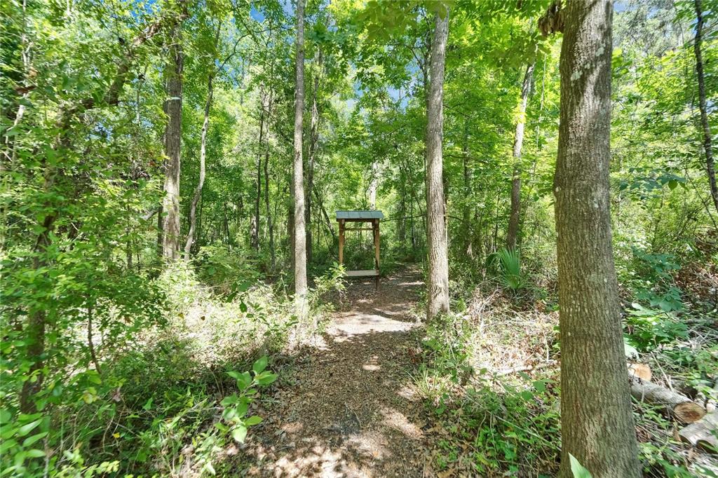 11120 Lu Wista Road Brooksville, FL 34601 - Photo 46 of 50 a view of a forest with trees