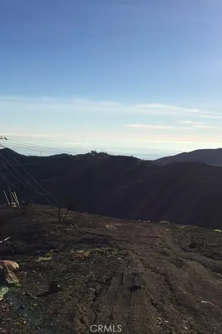 a view of a back yard