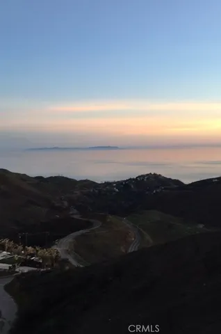 a picture of a tree in a yard