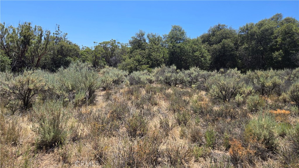 38375 Indian Road Anza, CA 92539 - Photo 7 of 8