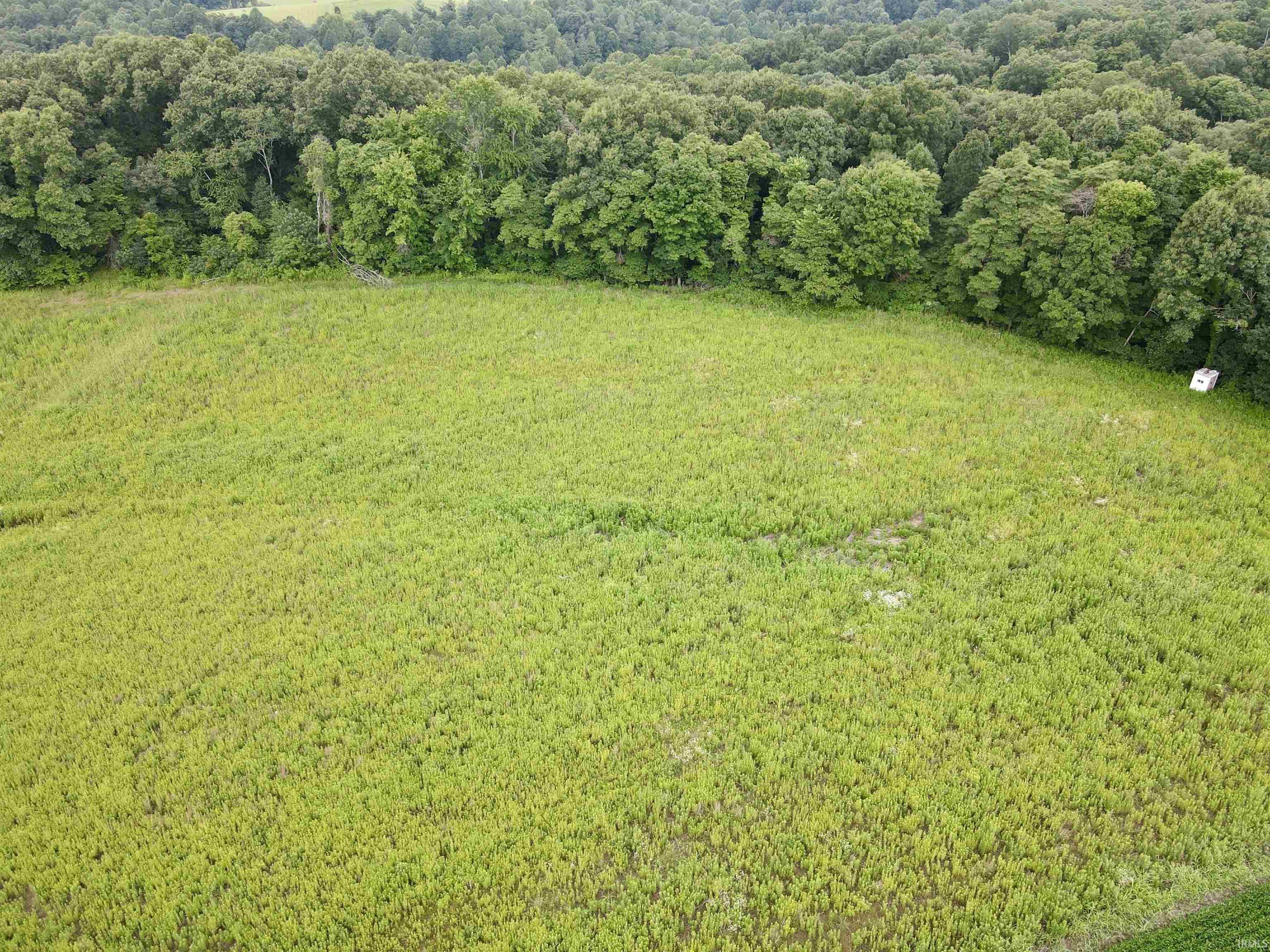 Off Candlestick Road Bristow, IN 47515 - Photo 12 of 30