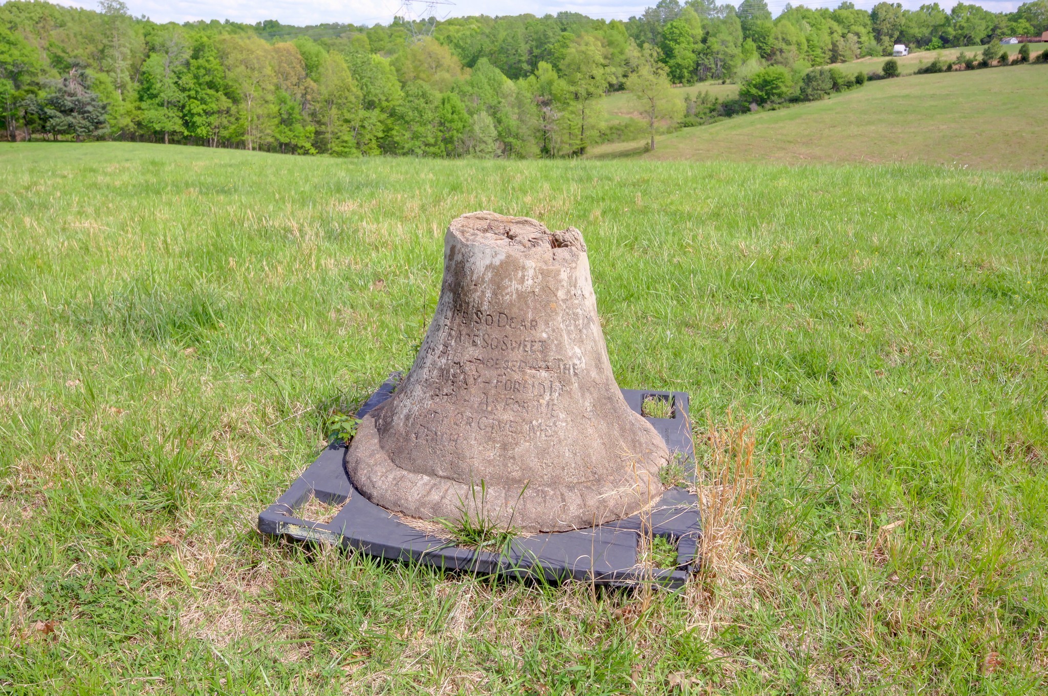 3915 Oak Ridge Road Palmyra, TN 37142 - Photo 13 of 61 a view of a backyard with an outdoor space