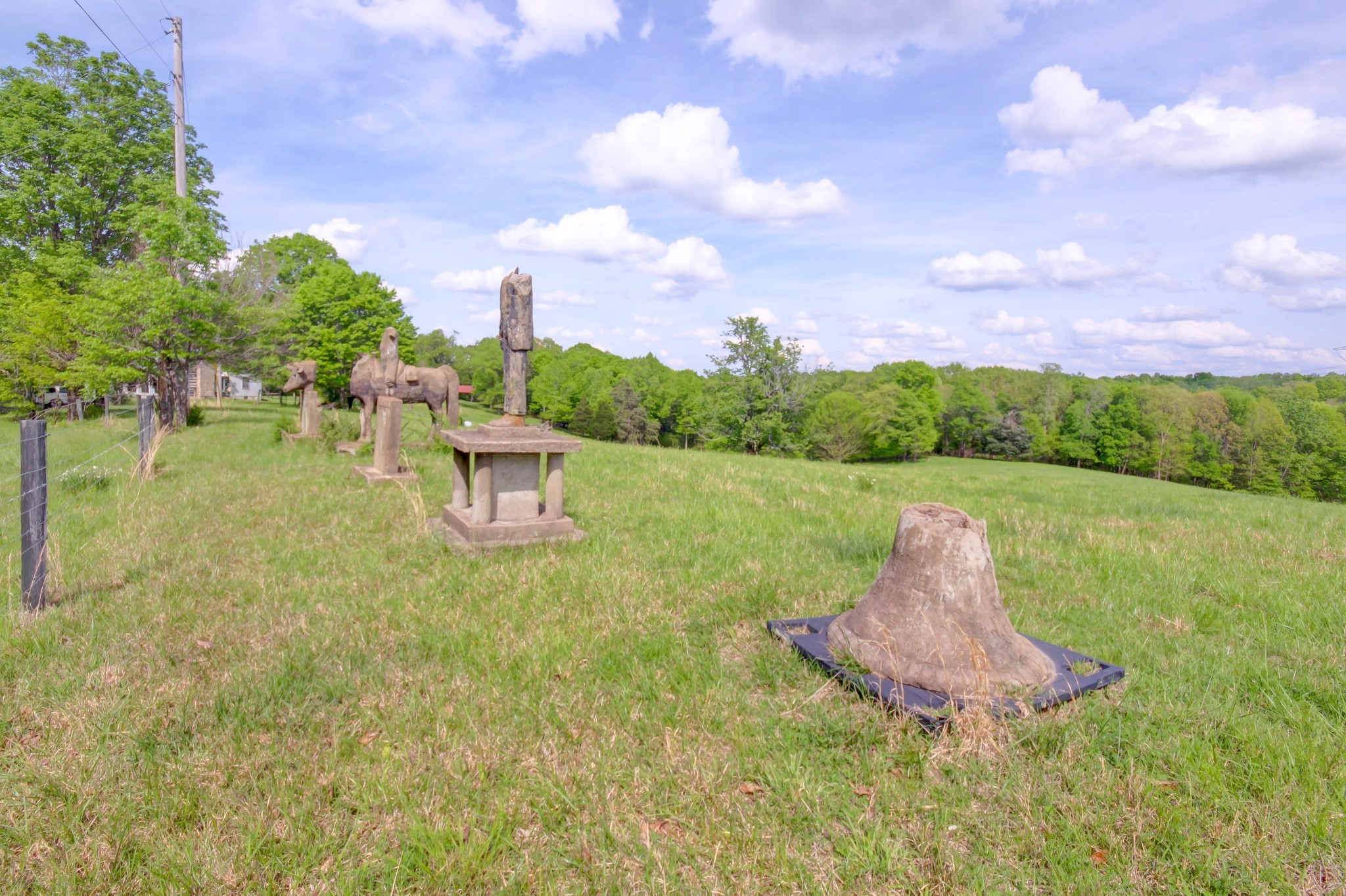 3915 Oak Ridge Road Palmyra, TN 37142 - Photo 14 of 61 a view of a garden with a house