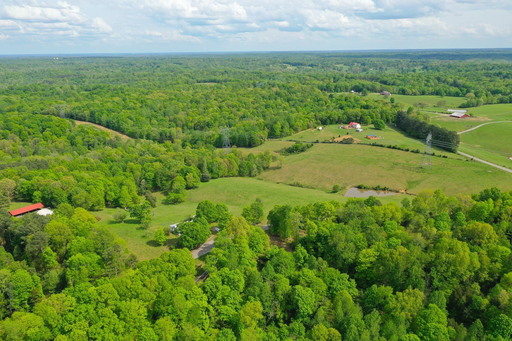 3915 Oak Ridge Road Palmyra, TN 37142 - Photo 19 of 61 a view of a green field with lots of bushes