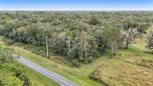 a view of a yard with an trees