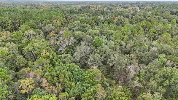 an aerial view of residential house with space and trees all around