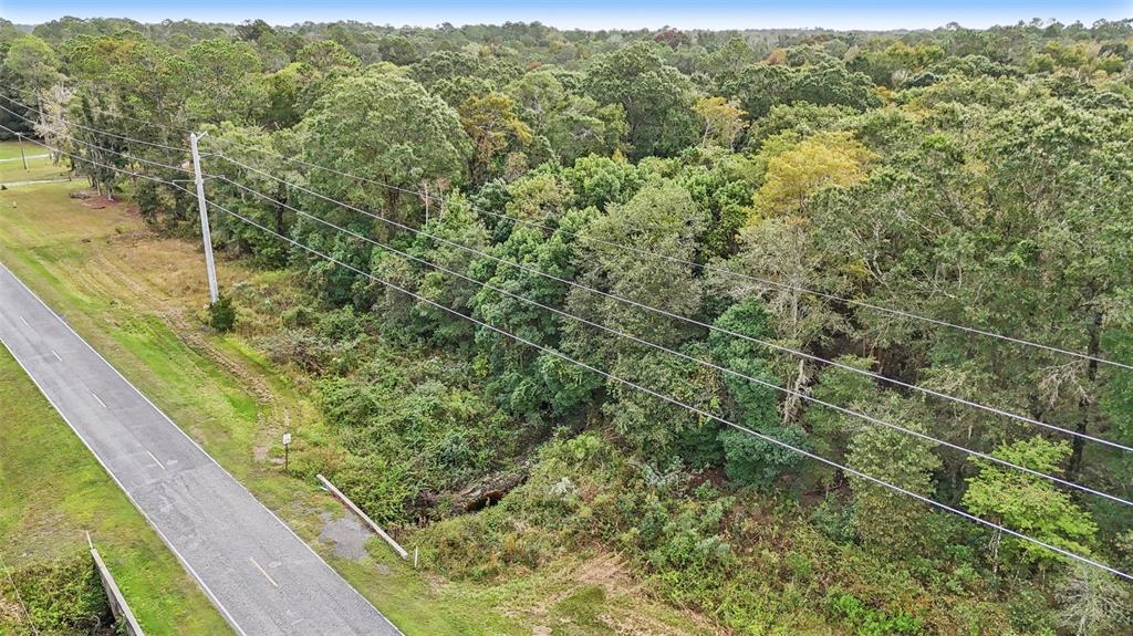 West Edwards Road Starke, FL 32091 - Photo 9 of 10 a view of a forest from a balcony