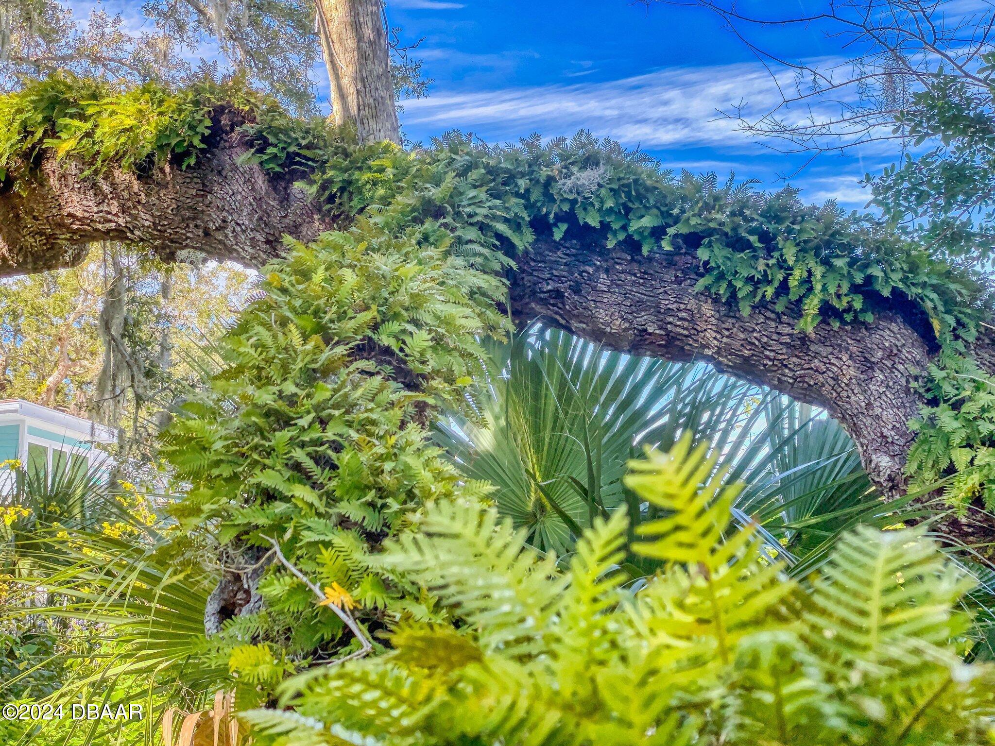 234 South Riverside Drive Edgewater, FL 32132 - Photo 104 of 134 113_img_5372