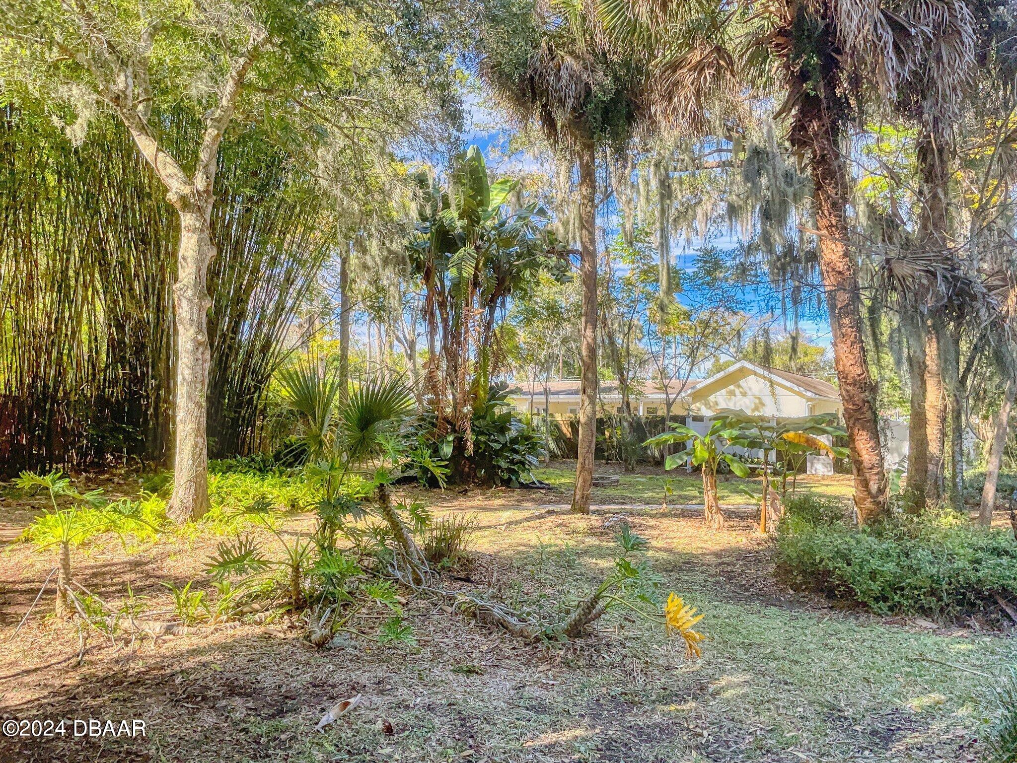234 South Riverside Drive Edgewater, FL 32132 - Photo 119 of 134 134_img_5438