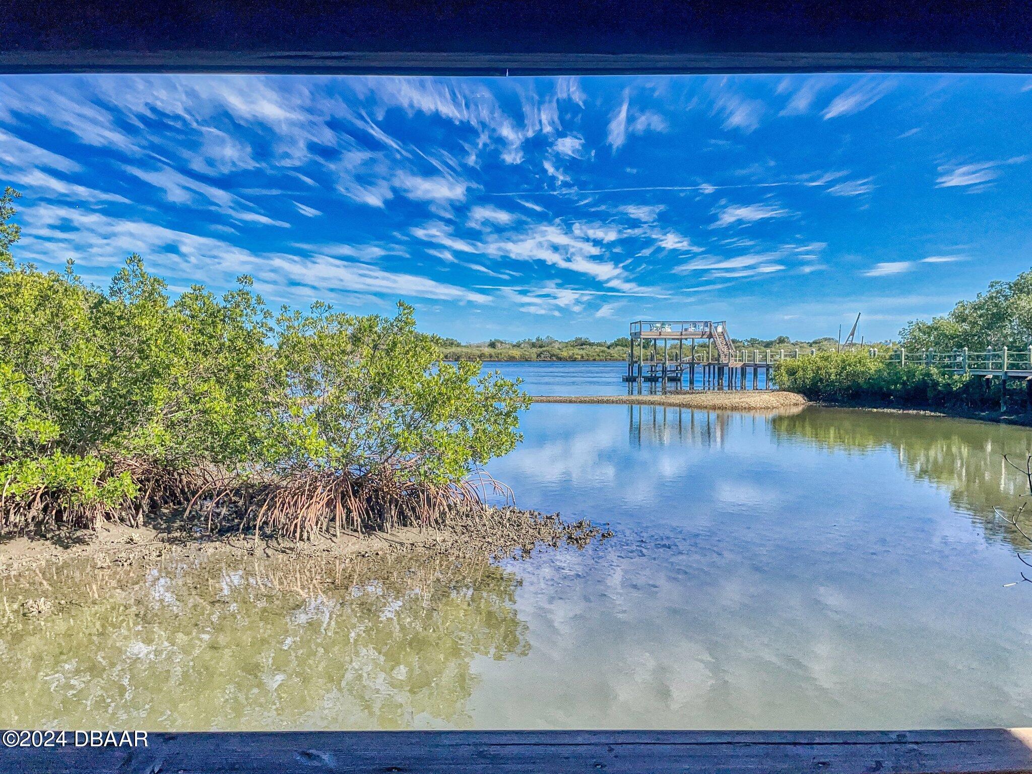 234 South Riverside Drive Edgewater, FL 32132 - Photo 121 of 134 137_img_5450