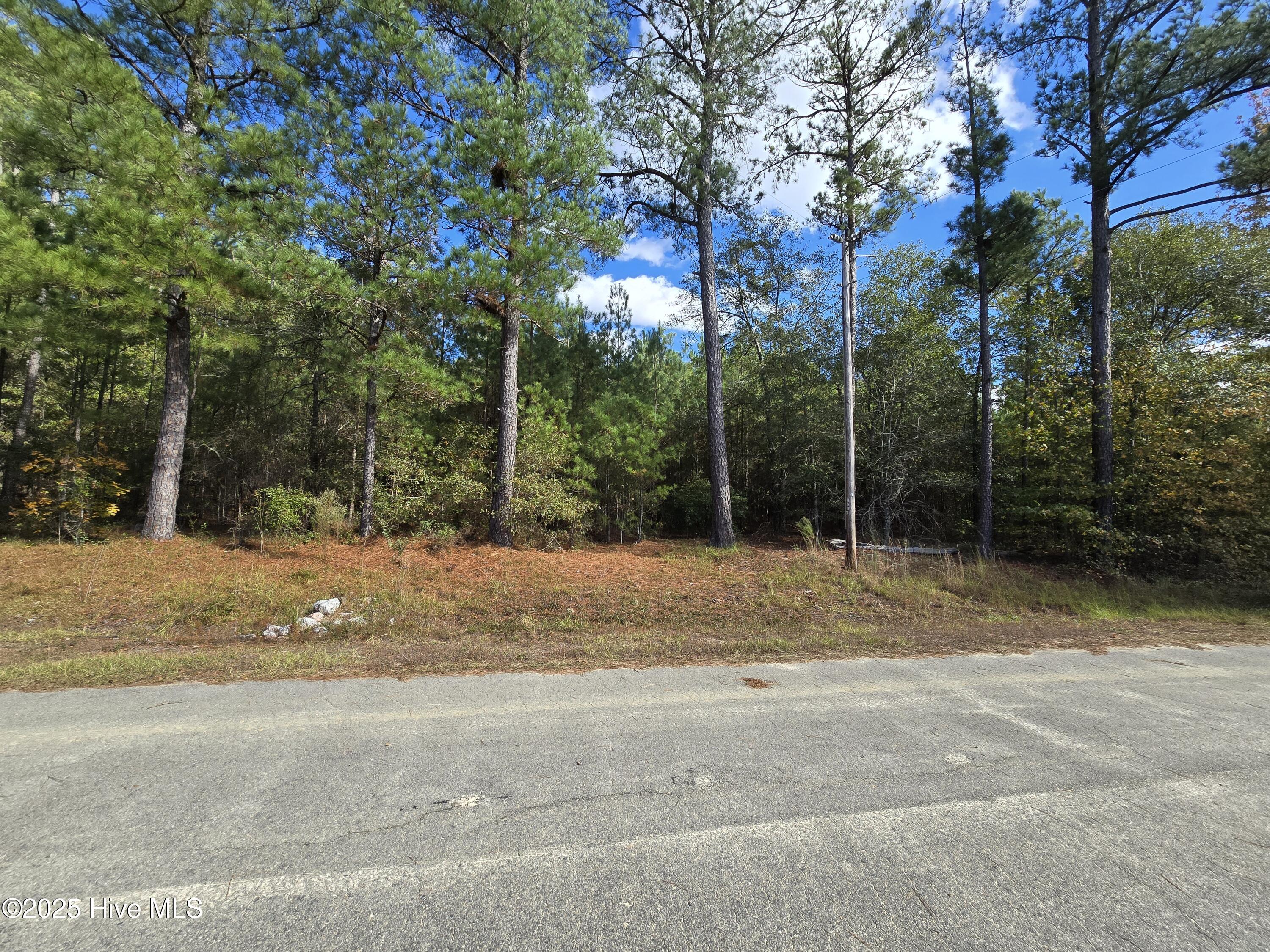 Tbd Sturdivant Drive Rockingham, NC 28379 - Photo 1 of 1 20251030_145028