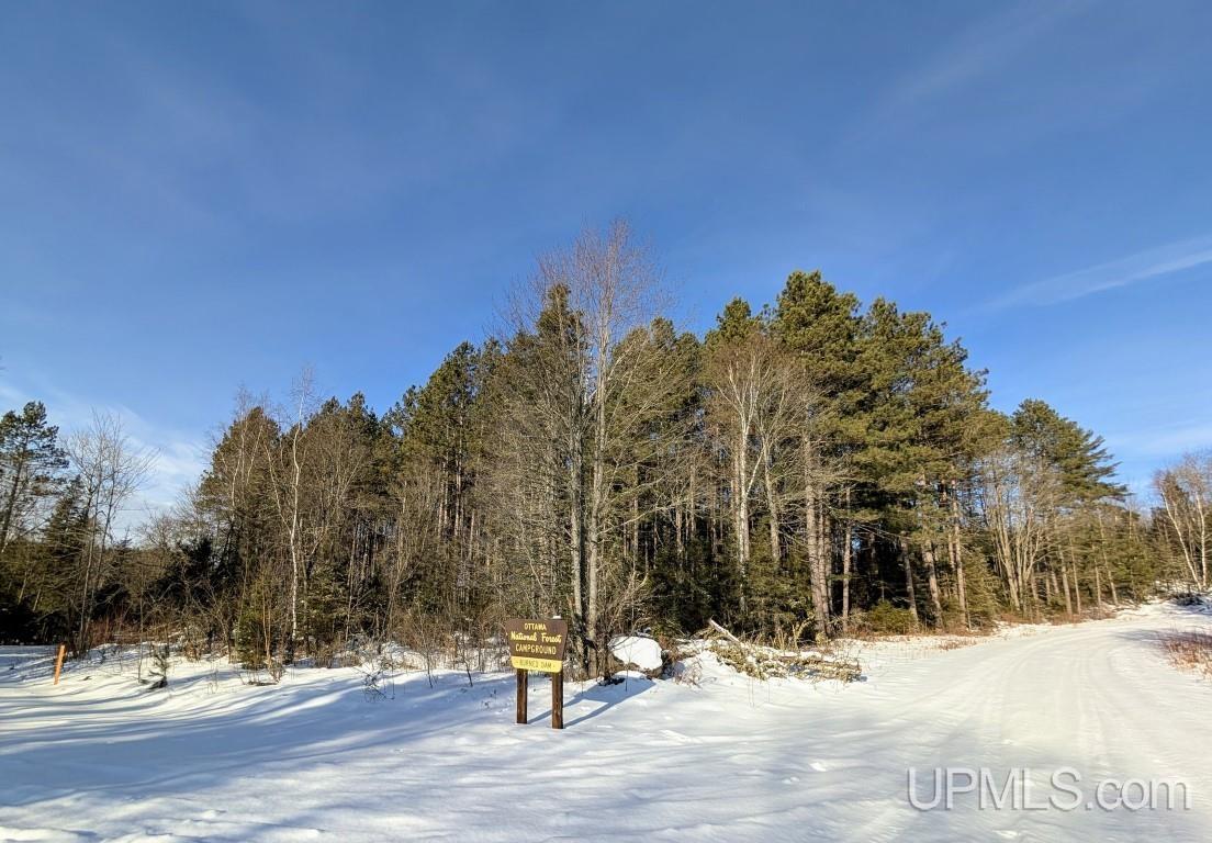 4500 Rd Watersmeet Mi 49969 Road Trout Creek, MI 49967 - Photo 8 of 17