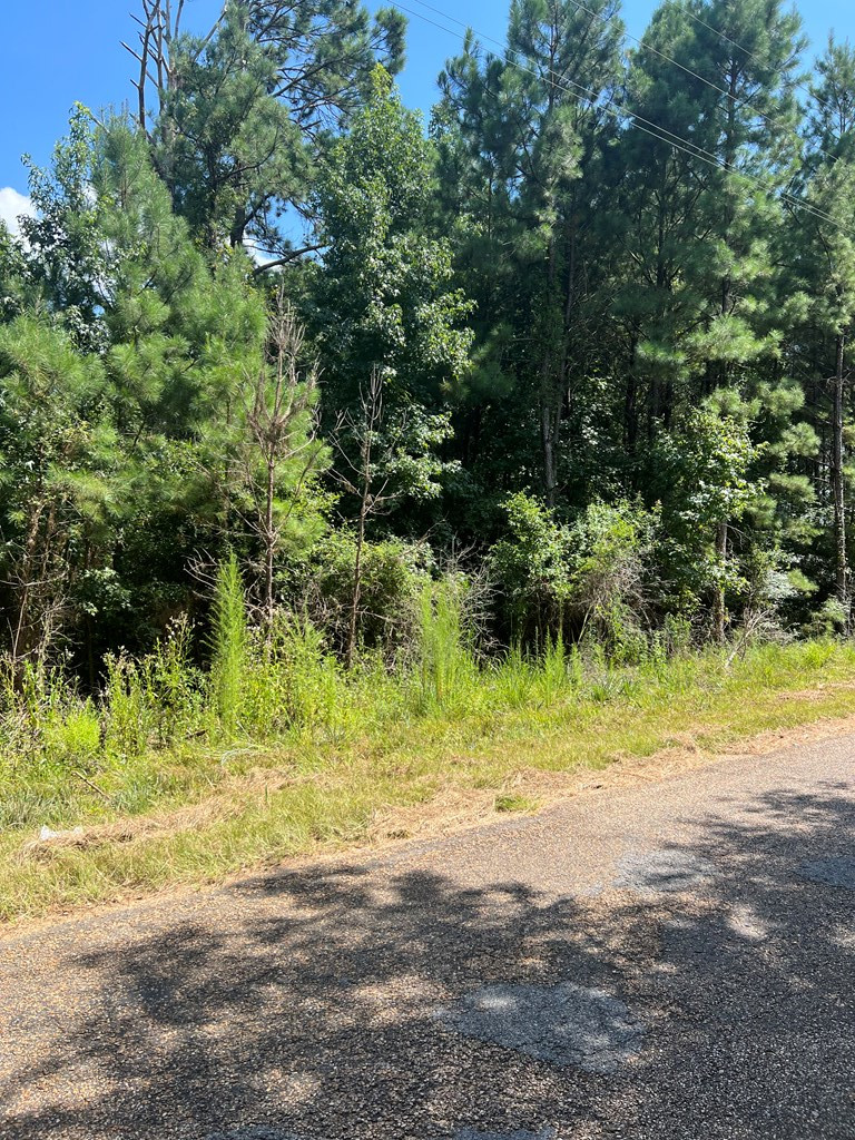 1895 Pleasant Ridge Road Northwest Wesson, MS 39191 - Photo 2 of 8 Photo 2