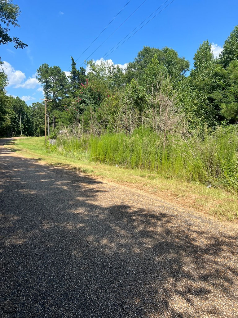 1895 Pleasant Ridge Road Northwest Wesson, MS 39191 - Photo 5 of 8 Photo 5