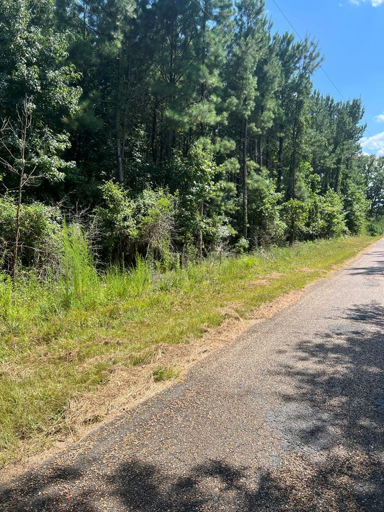 1895 Pleasant Ridge Road Northwest Wesson, MS 39191 - Photo 6 of 8 Photo 6
