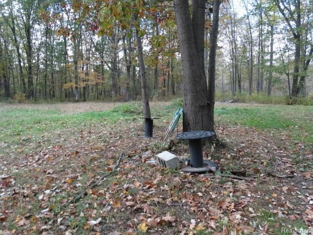 43020 Arkona Road New Boston, MI 48164 - Photo 8 of 20