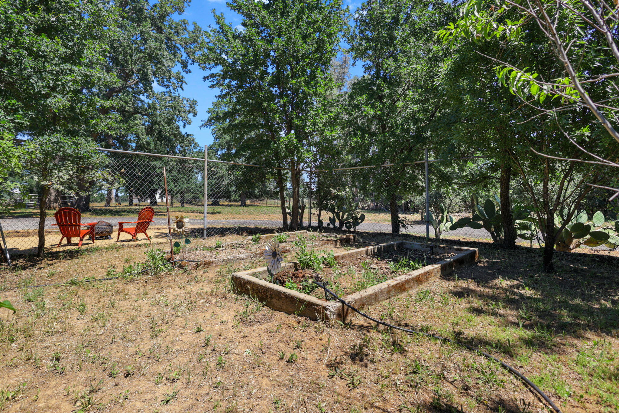 12481 Paskenta Road Red Bluff, CA 96080 - Photo 58 of 82 30-web-or-mls-8Q0A0339