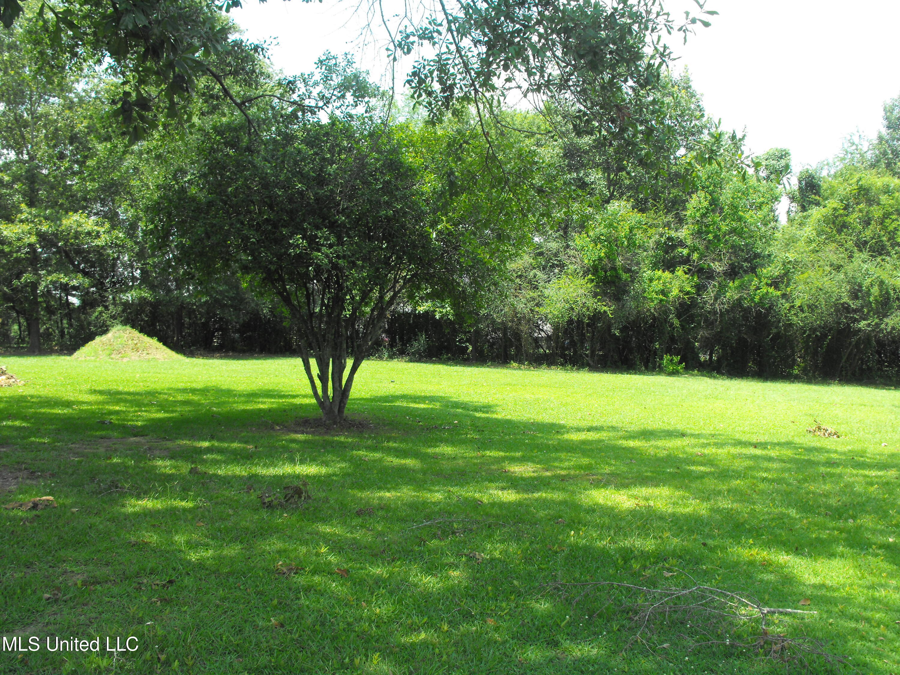 266 Morrison Road Florence, MS 39073 - Photo 5 of 6 DSCF7025