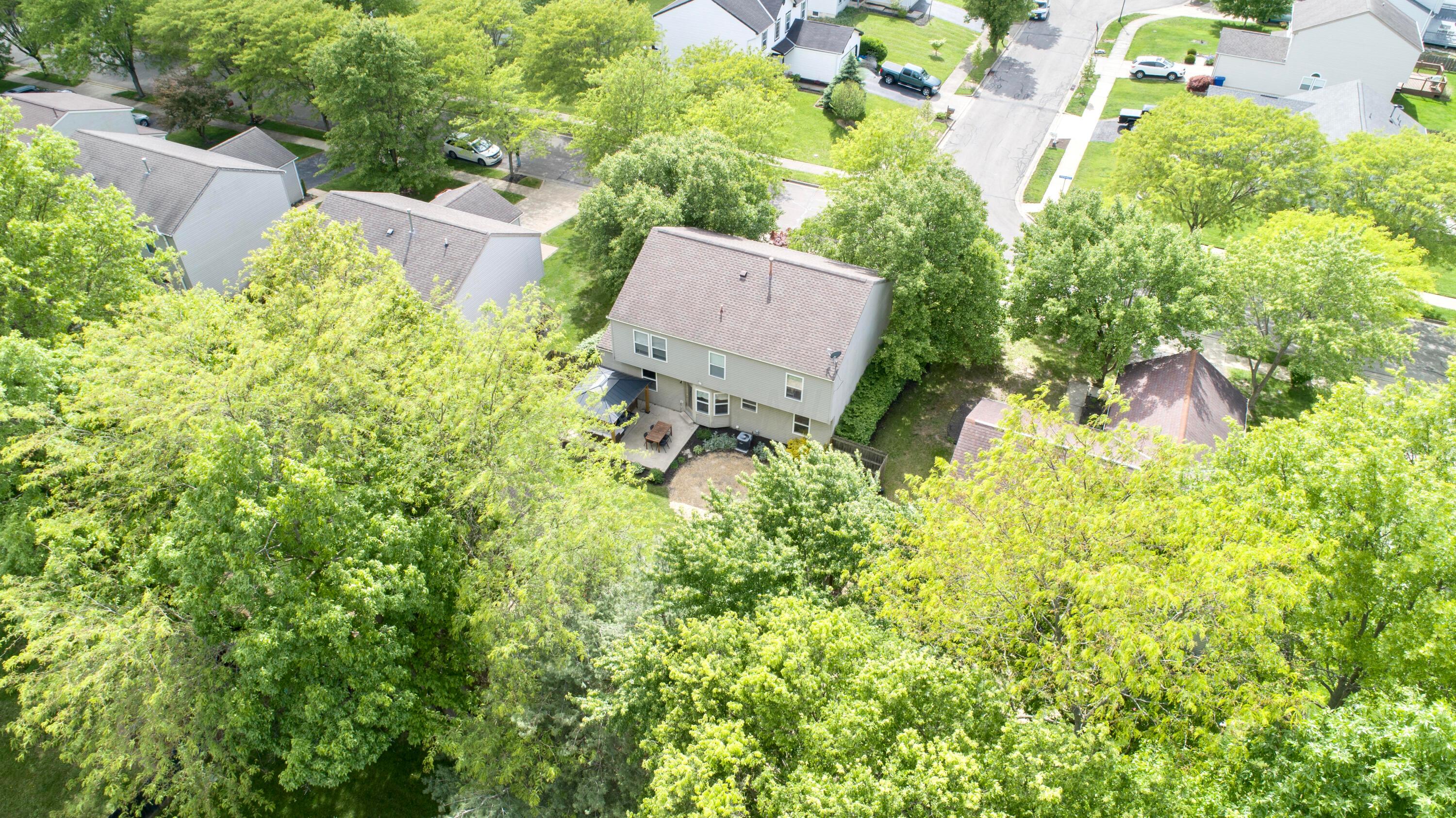 160 Kettering Bend Delaware, OH 43015 - Photo 46 of 49 Wow! Look at all the mature trees in this neighborhood!