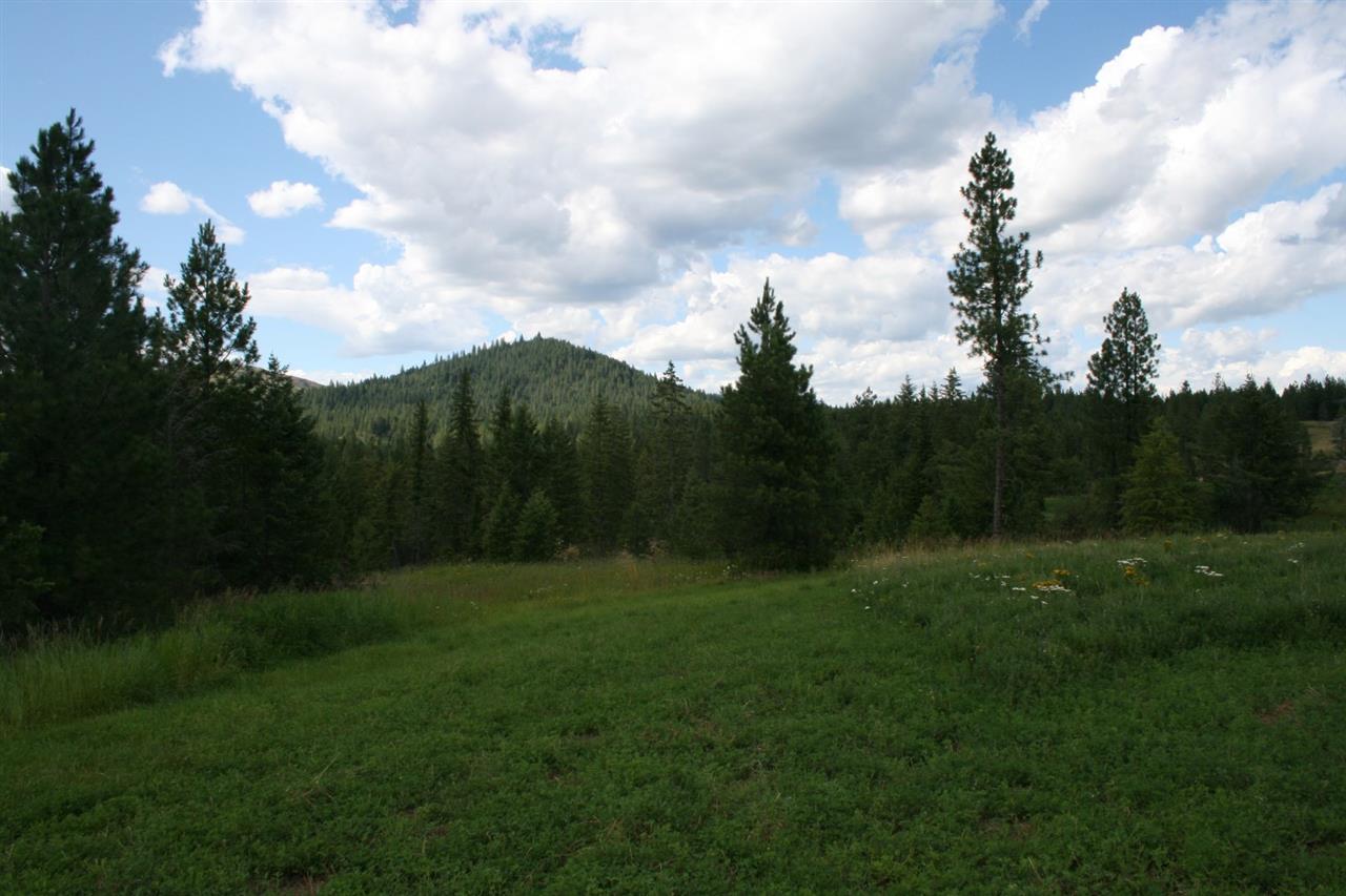 0 Olinger Road, Unit LOT F Springdale, WA 99173 - Photo 1 of 10