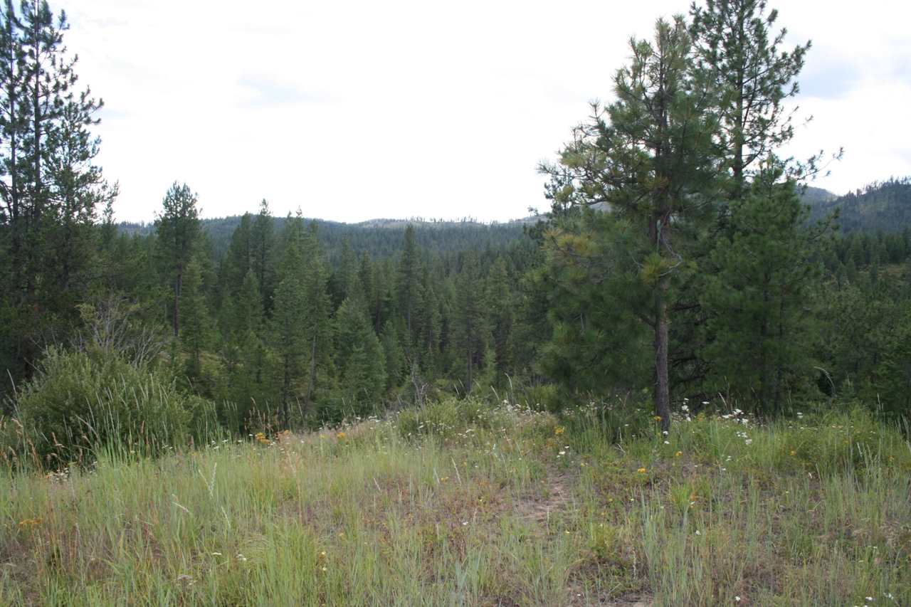 0 Olinger Road, Unit LOT F Springdale, WA 99173 - Photo 3 of 10