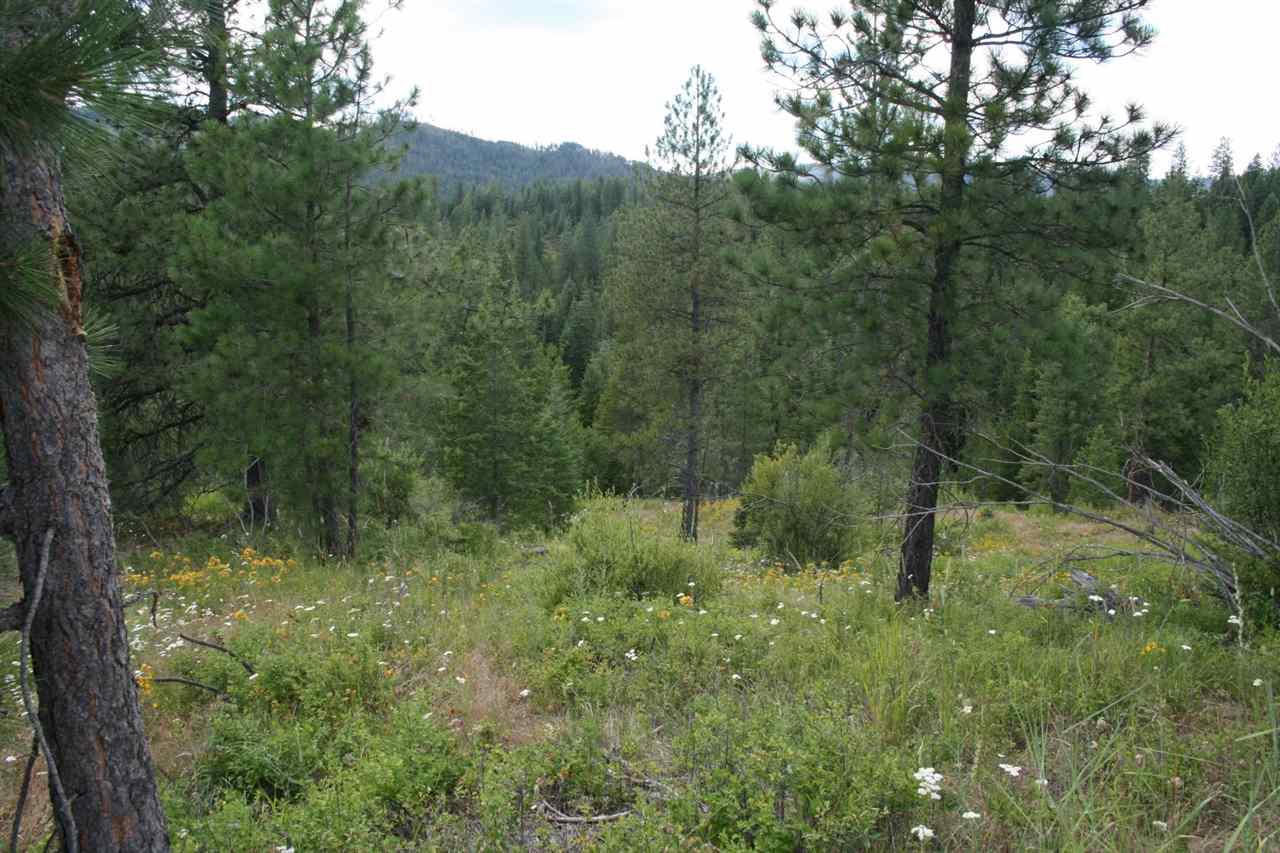 0 Olinger Road, Unit LOT F Springdale, WA 99173 - Photo 4 of 10