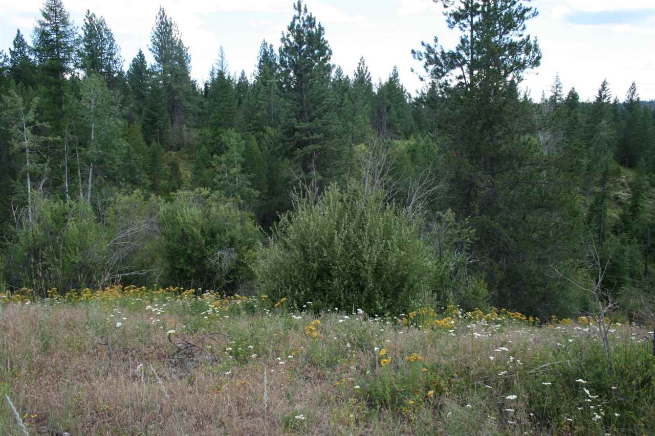 0 Olinger Road, Unit LOT F Springdale, WA 99173 - Photo 5 of 10