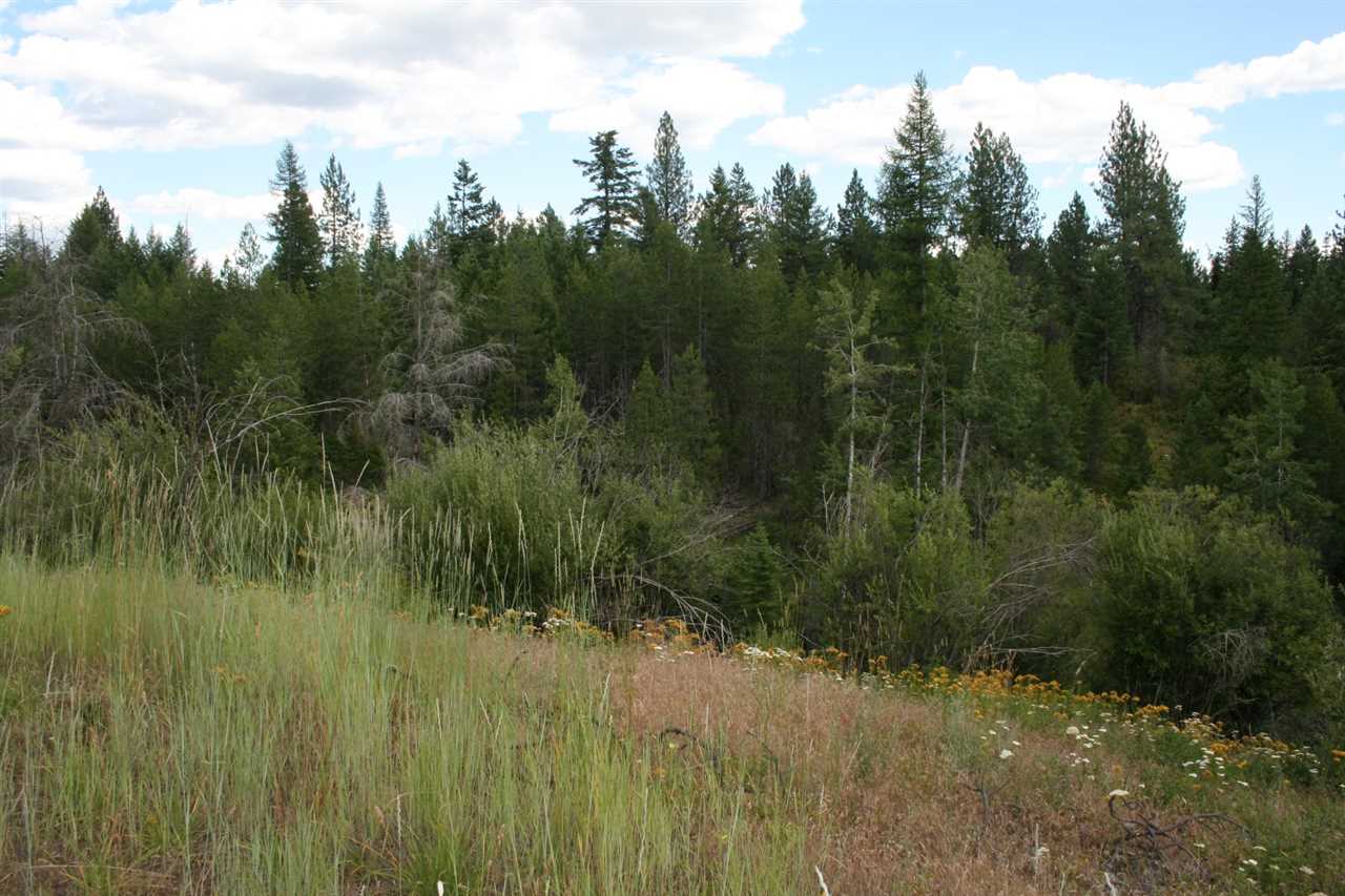 0 Olinger Road, Unit LOT F Springdale, WA 99173 - Photo 6 of 10