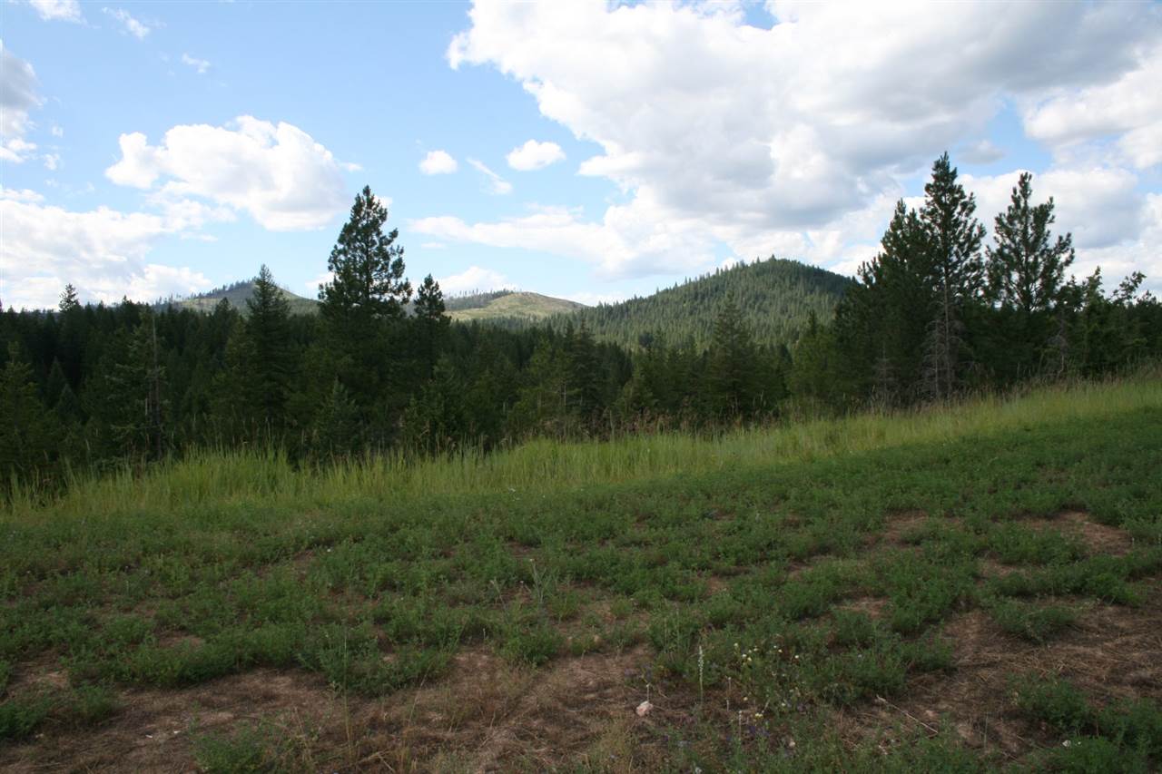 0 Olinger Road, Unit LOT F Springdale, WA 99173 - Photo 7 of 10
