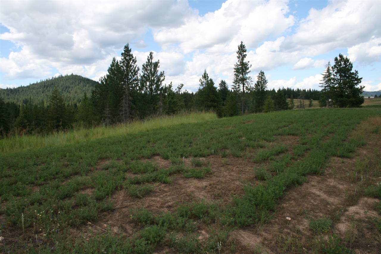 0 Olinger Road, Unit LOT F Springdale, WA 99173 - Photo 8 of 10