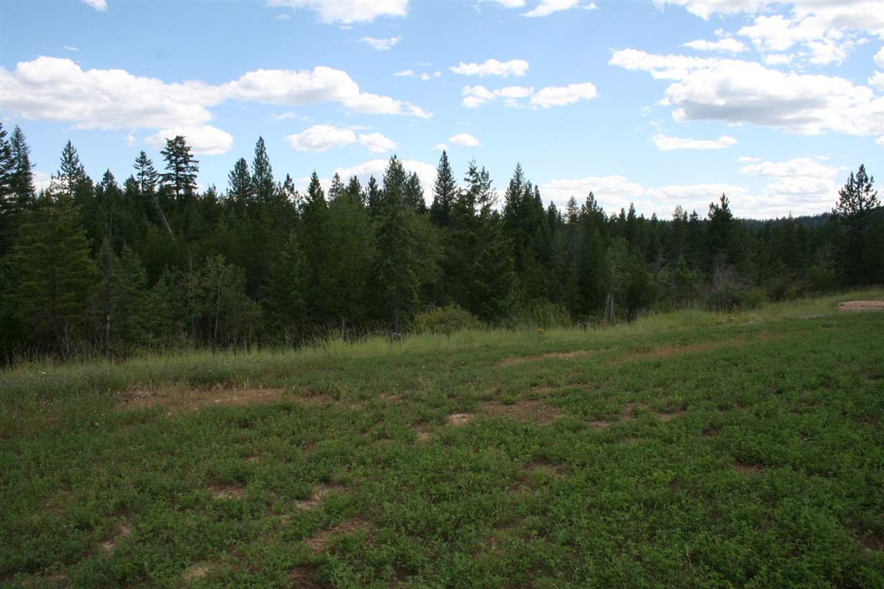 0 Olinger Road, Unit LOT F Springdale, WA 99173 - Photo 9 of 10