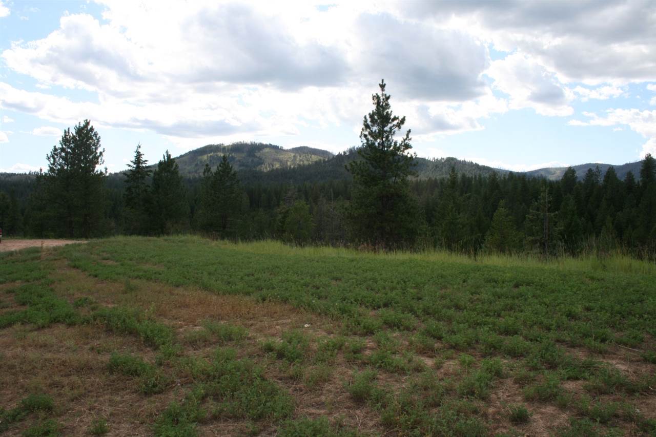 0 Olinger Road, Unit LOT F Springdale, WA 99173 - Photo 10 of 10