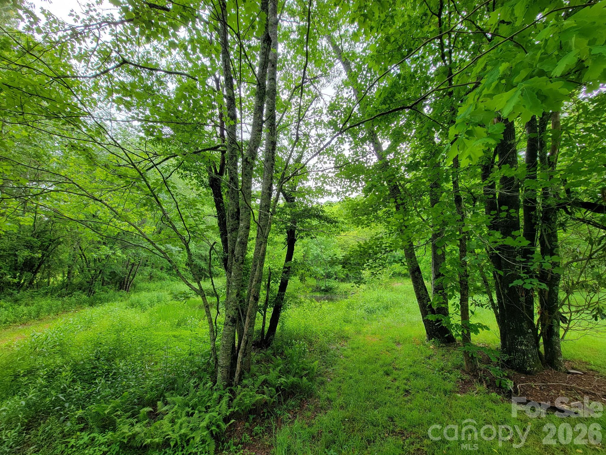 Tbd Sweetwater Rdg Road, Unit 1 Balsam Grove, NC 28708 - Photo 16 of 24 a view of a lush green forest