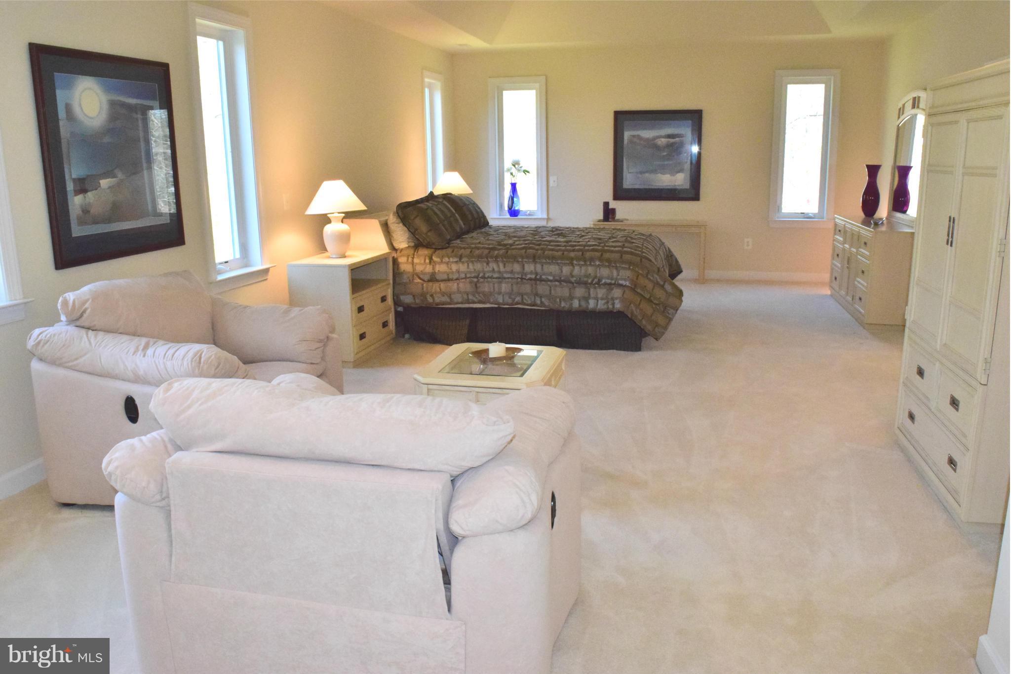 10920 Sunset Hills Road Reston, VA 20190 - Photo 16 of 29 Bedroom (Master)