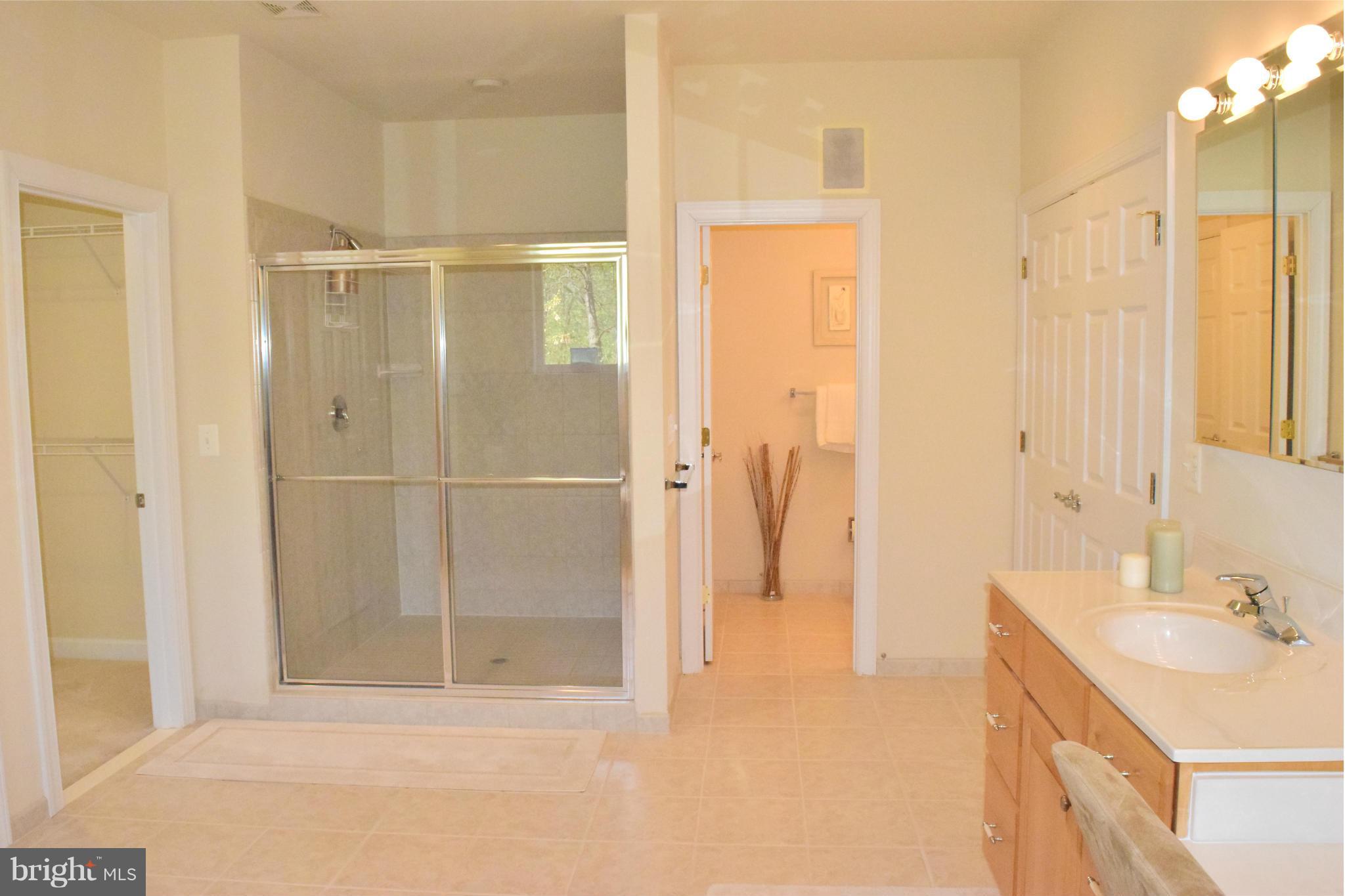 10920 Sunset Hills Road Reston, VA 20190 - Photo 20 of 29 Bath (Master)