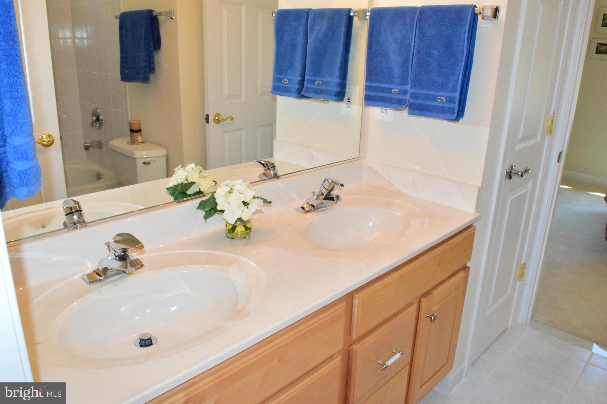 10920 Sunset Hills Road Reston, VA 20190 - Photo 26 of 29 Bath
