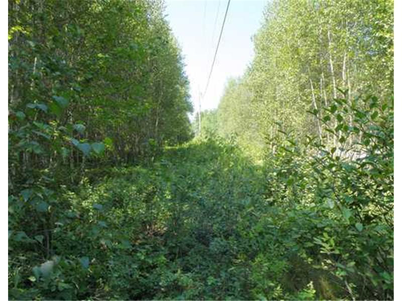 Lot3-3.3 Nicolin Road Ellsworth, ME 04605 - Photo 2 of 12 Land/Lot.