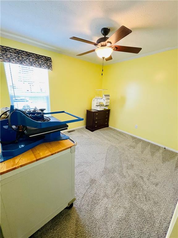 455 Blue Jay Lane Apollo, PA 15613 - Photo 20 of 25 Gallery Image 20