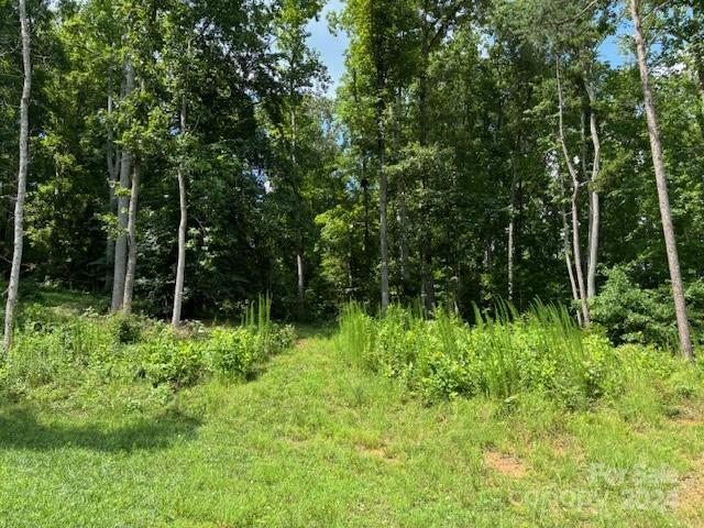0 Plantation Dr Extension Rutherfordton, NC 28139 - Photo 11 of 18